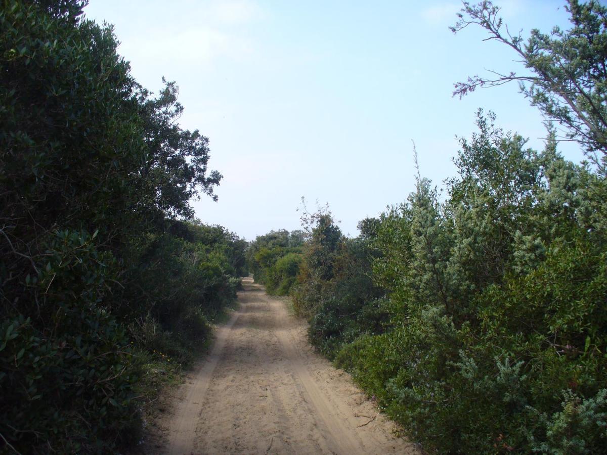 לזינה L'Isola Aer B&B מראה חיצוני תמונה